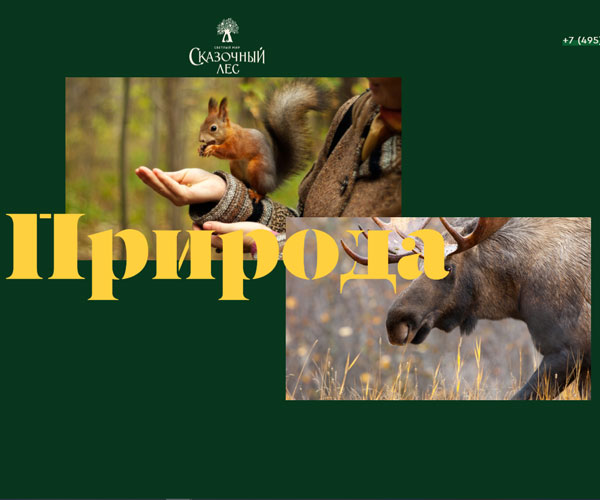 橫向的滑動頁面