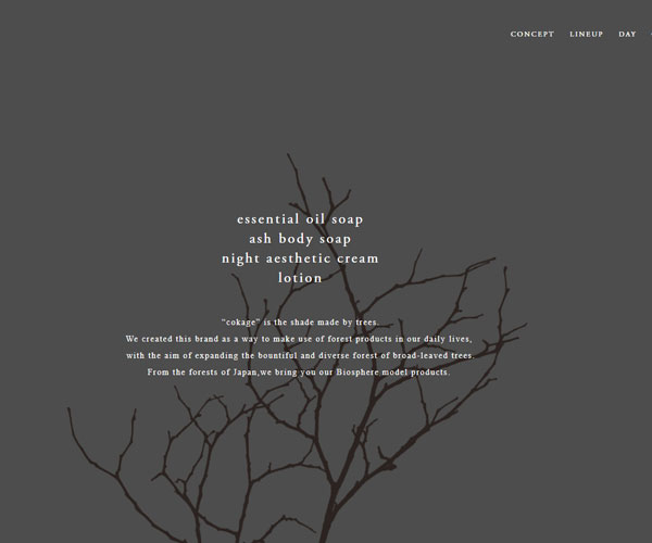 首頁的自然風(fēng)格