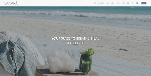 酒店行業(yè)網(wǎng)站開發(fā)