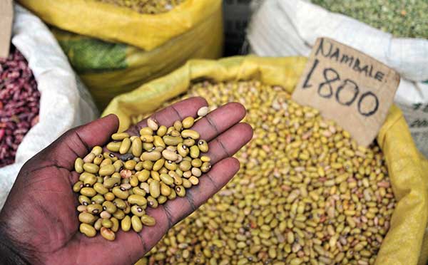 農業可持續化發展