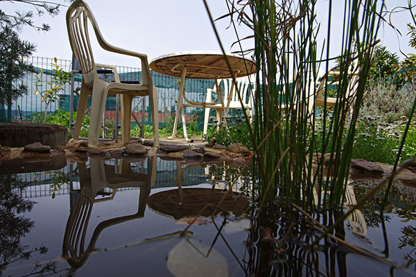 生態生活網站建設